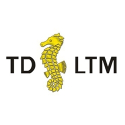 LTM